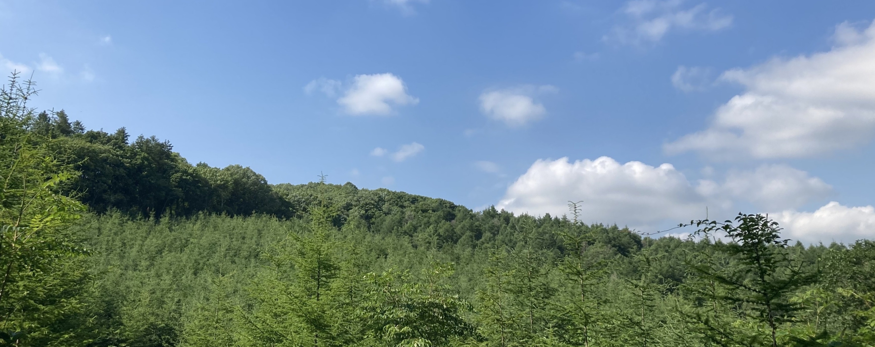 サステナビリティ