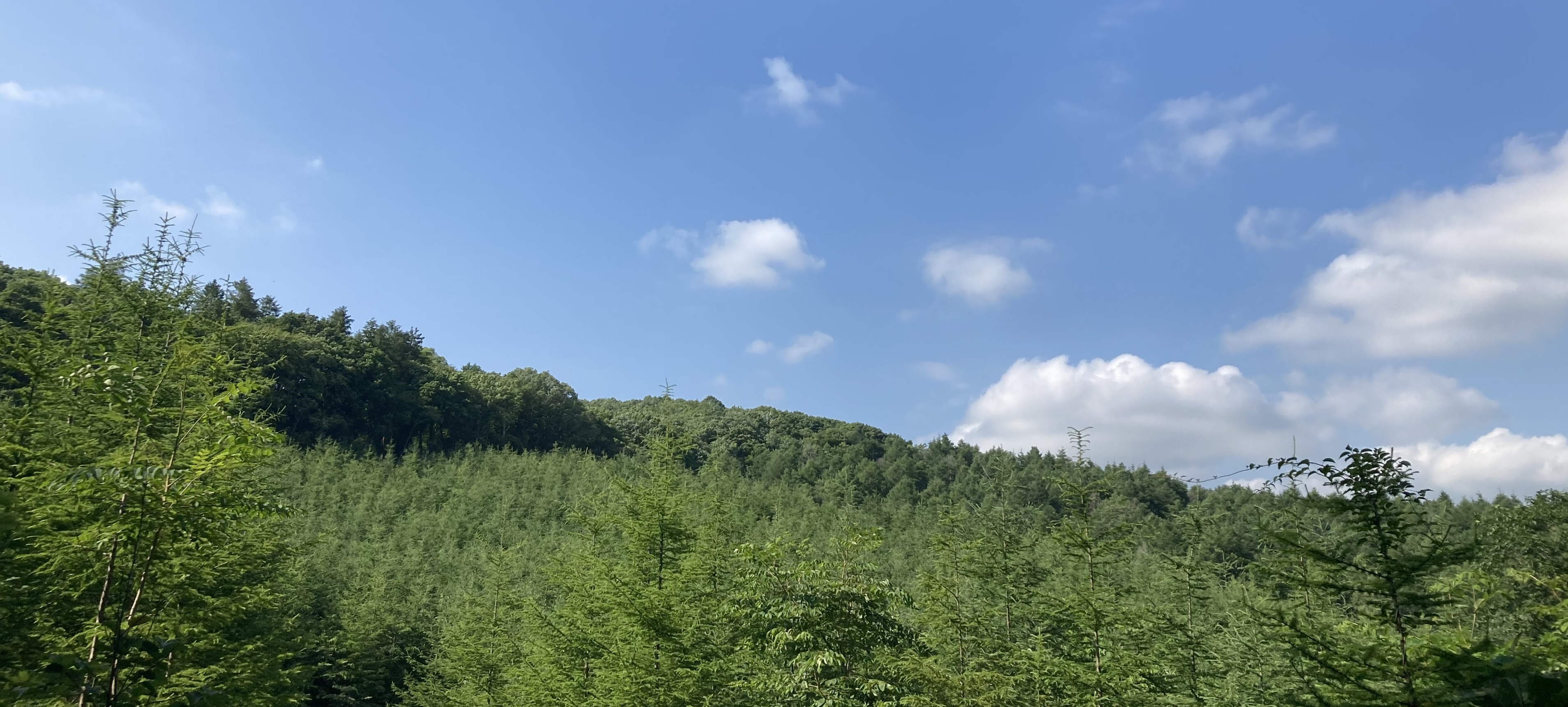 サステナビリティ