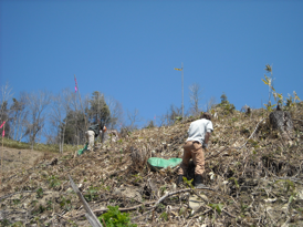 植栽（しょくさい）の様子