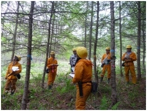 選木に関する勉強会の様子