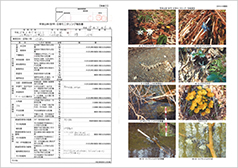 モニタリング報告書