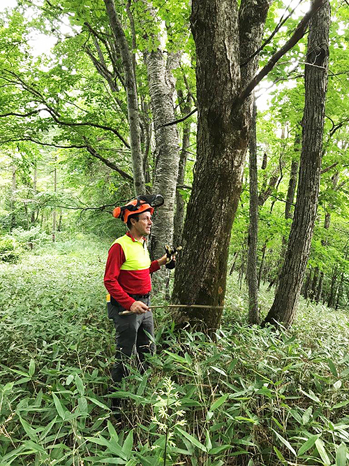 ロルフ氏による説明