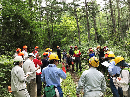 ワークショップの様子