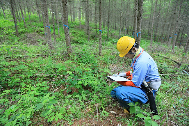 間伐後の草本の回復状況を調査