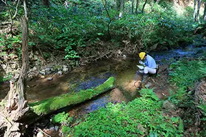 日常モニタリング活動