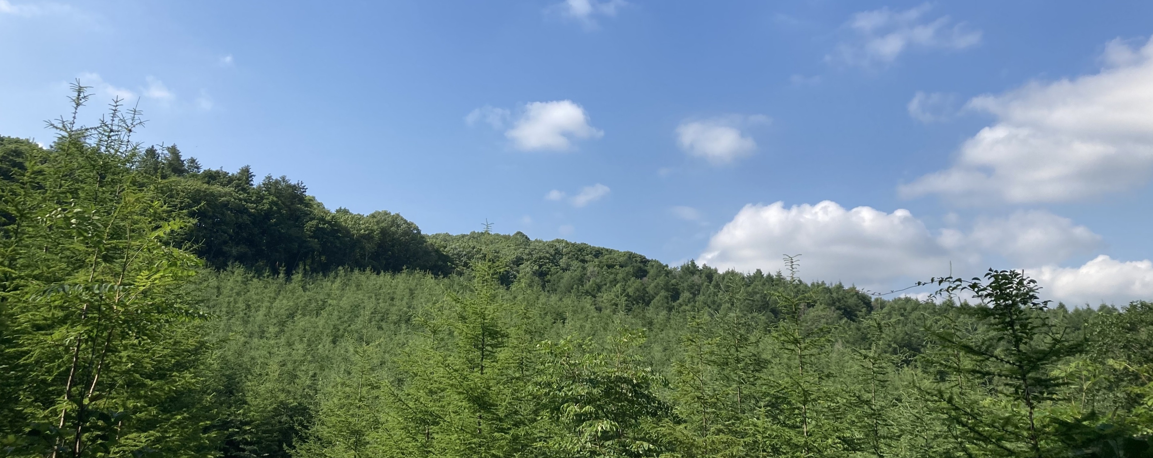 サステナビリティマネジメント