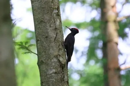 マテリアルの森コラム<br>バックナンバー